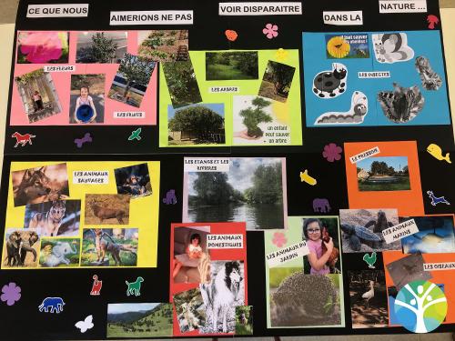 Laudato si : MSGS A